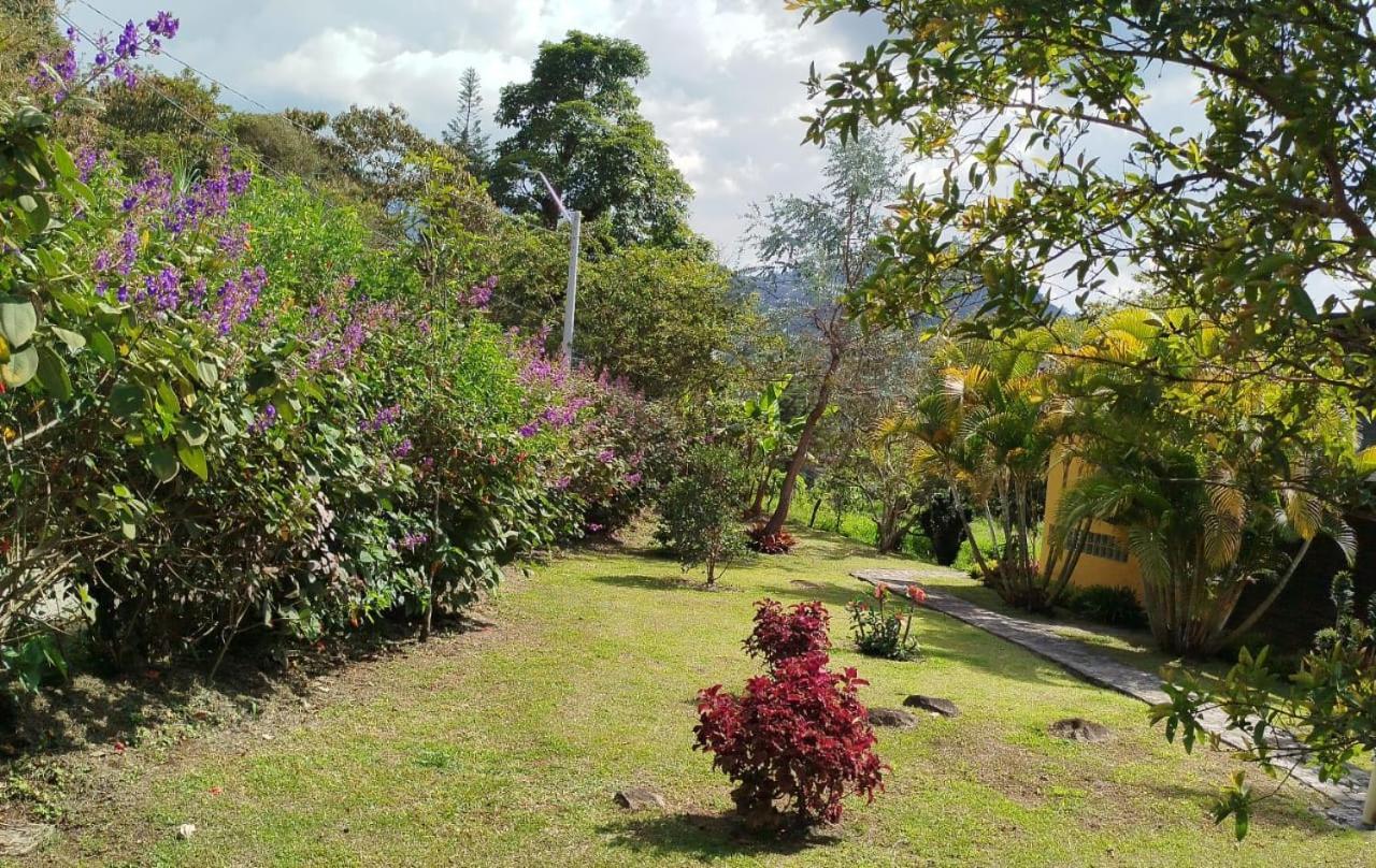 Jardin Utopia Kültér fotó